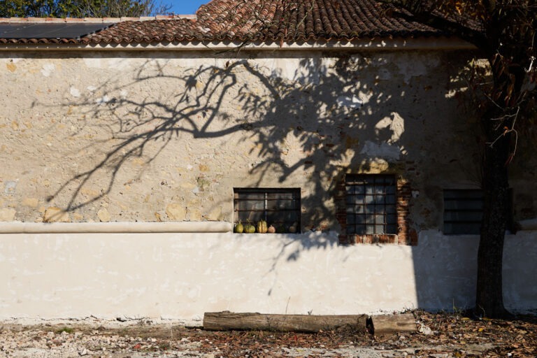 www.albertomarangoni.com