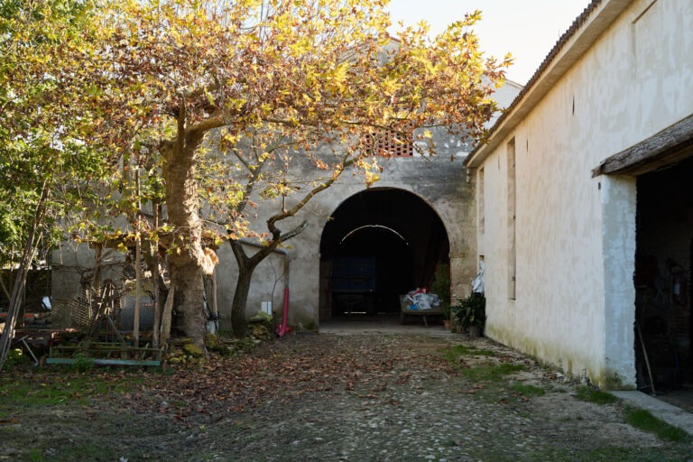 www.albertomarangoni.com